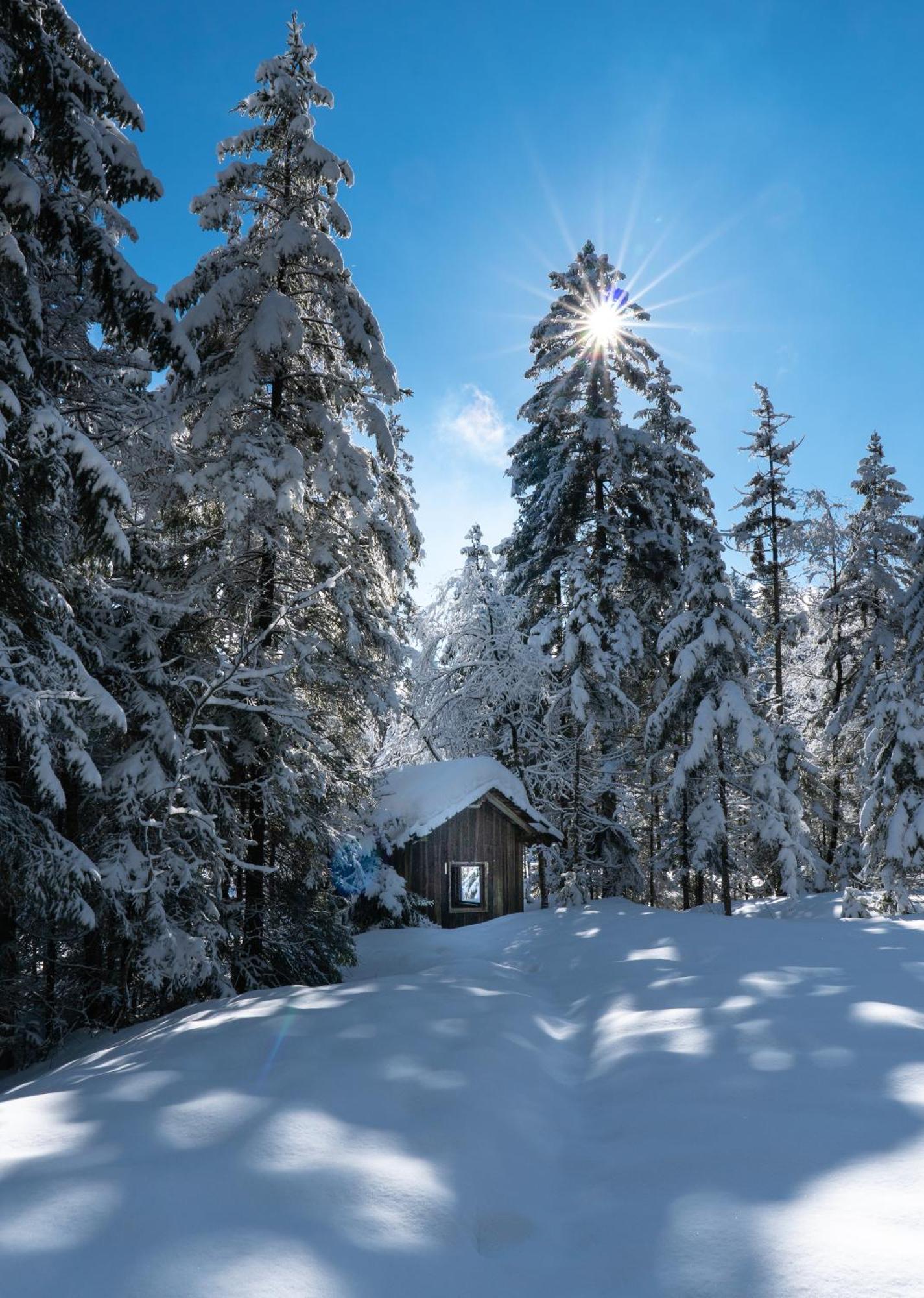 Ferienwohnung Bergpfote - Hund Herzlich Willkommen Scheidegg Εξωτερικό φωτογραφία